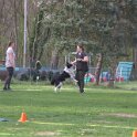 IMG 0805