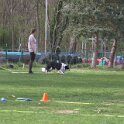 IMG 0806