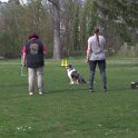 IMG 0811