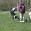 IMG 0856