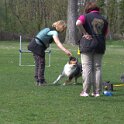 IMG 0860
