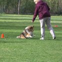 IMG 0876
