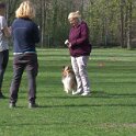 IMG 0877