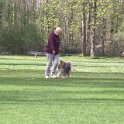 IMG 0888