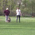 IMG 0890
