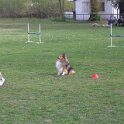 IMG 0910