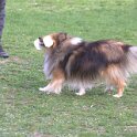 IMG 0915