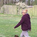 IMG 0924