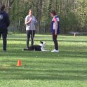 IMG 0933