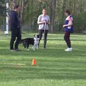 IMG 0936
