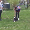 IMG 0947