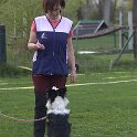 IMG 0949
