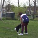 IMG 0957