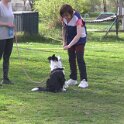 IMG 0961