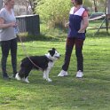 IMG 0963