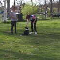IMG 0966