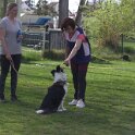 IMG 0967