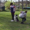 IMG 0971