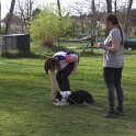 IMG 0974