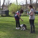 IMG 0975