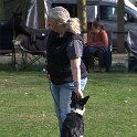 IMG 0981