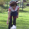 IMG 0984