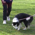 IMG 0987