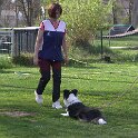 IMG 0991