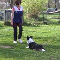 IMG 0992