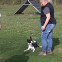 IMG 0994