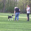 IMG 0996