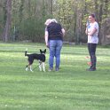 IMG 0997