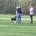 IMG 0998