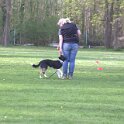 IMG 1002