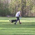 IMG 1027