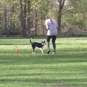IMG 1028