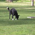 IMG 1045