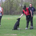 IMG 1060