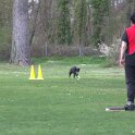 IMG 1069