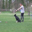 IMG 1079