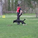 IMG 1087