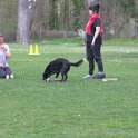 IMG 1088