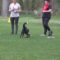 IMG 1093