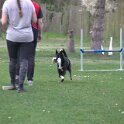 IMG 1101