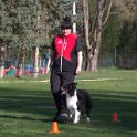 IMG 0008