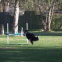 IMG 0033