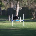 IMG 0034