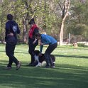 IMG 0039