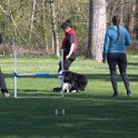 IMG 0047