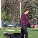 IMG 0056